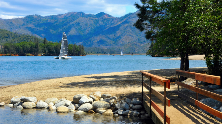 Boats along Whiskeytown Lake