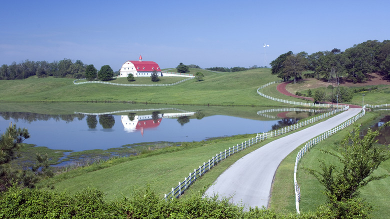 building on green hill by lake
