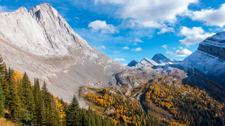 Autumn foliage and mountain scenery at Peter Lougheed Provincial Park, Alberta, Canada