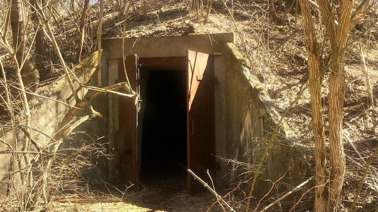 An open bunker door amidst nature