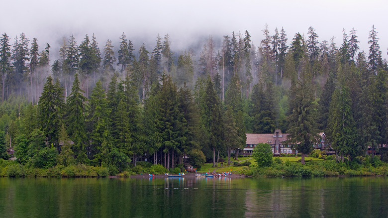 Lake view of Lake Quinault Lodge with trees lining the water and lodge in the background with canoes on the bank, and fog covering the tops of the trees