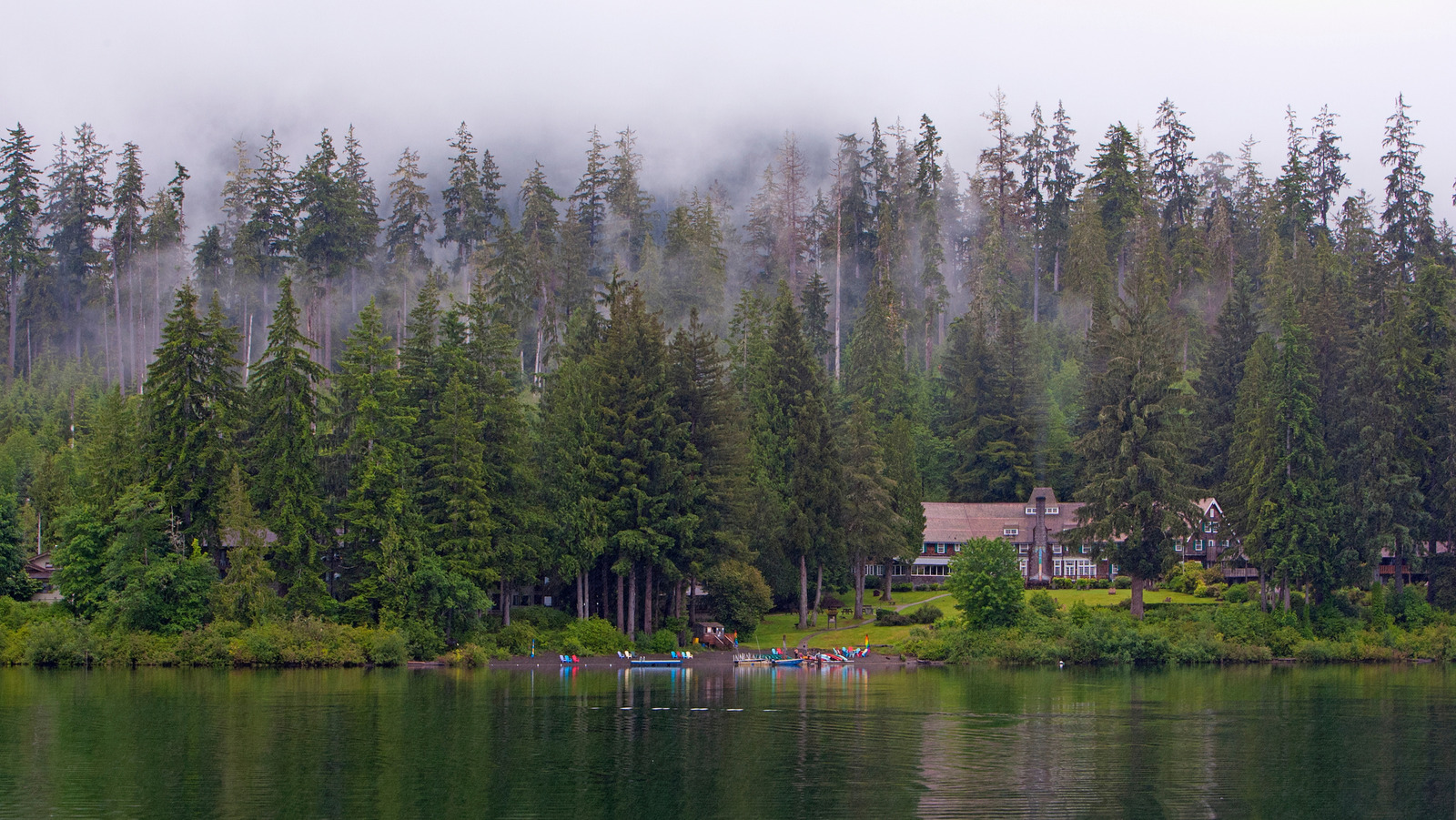 Hidden In An Ancient Forest On Washington's Olympic Peninsula Is An(03)