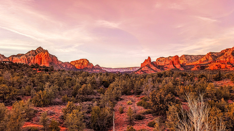 Red rocks in Sedona, Arizona's Boynton Canyon