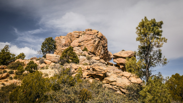 A rocky and forested park environment in Hualapai Mountain Park, Arizona