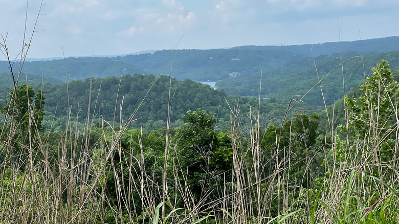 mountains and lake in Rogers, Arkansas