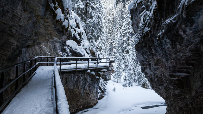 Elevated boardwalk in Johnston Canyon covered in snow