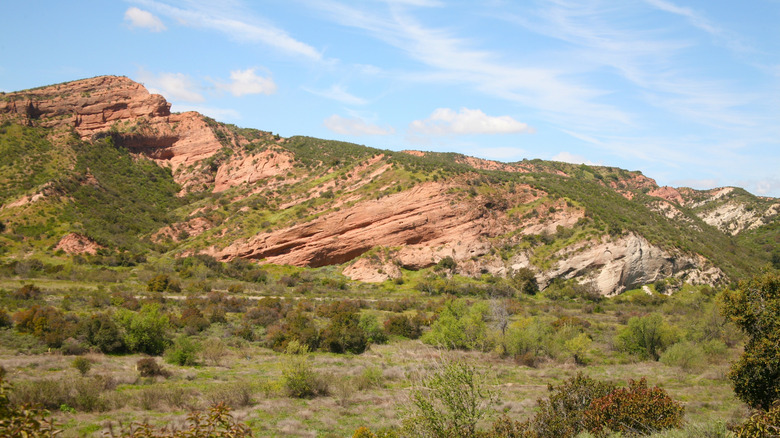 Red orck cliffs, foliage, and wildflowers at Black Star Canyon in Santa Ana Mountains, California
