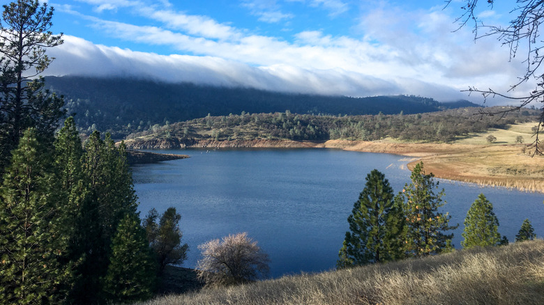 A view of Folsom Lake