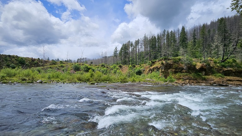 South Fork American River lined by cliffs with trees