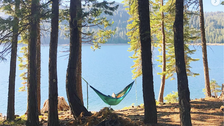 A hammock between the trees on the edge of French Meadows Reservoir