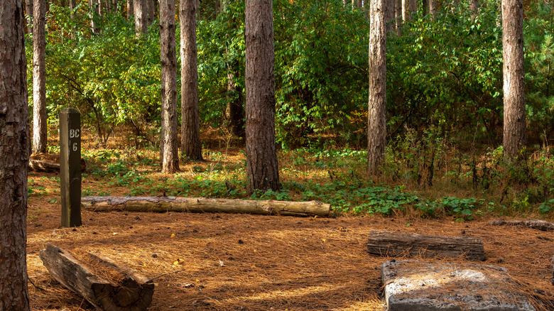 Basic back-country camp site with marker and logs