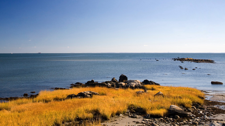 Atlantic Ocean view from Compo Beach
