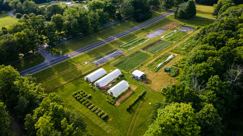 Aerial view of Winvian's 113-acre farmlands