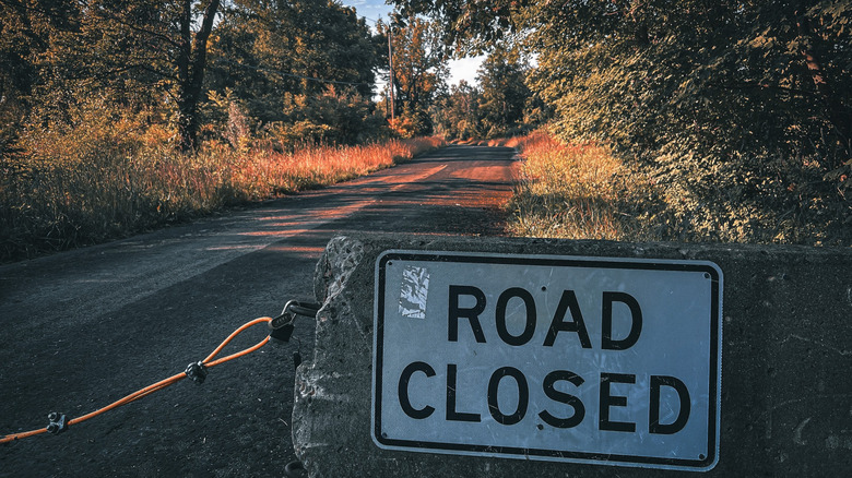 Abandoned road through underbrush and green trees, with a 
