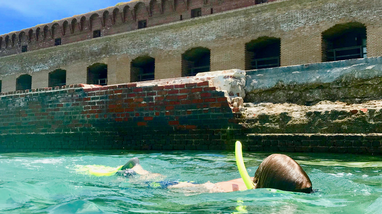 Snorkeling at Fort Jefferson in Dry Tortugas