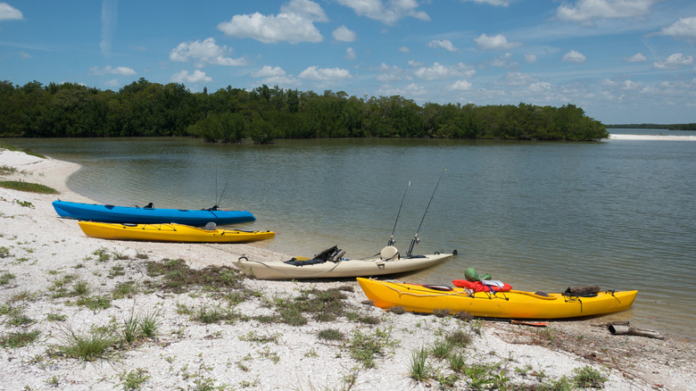 Kayaking from Everglades City to sandy Gulf beaches