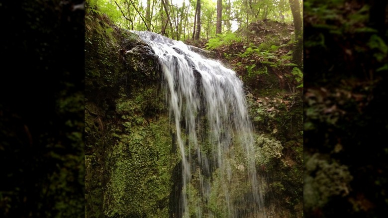 Waterfall at Falling Waters State Park, Florida