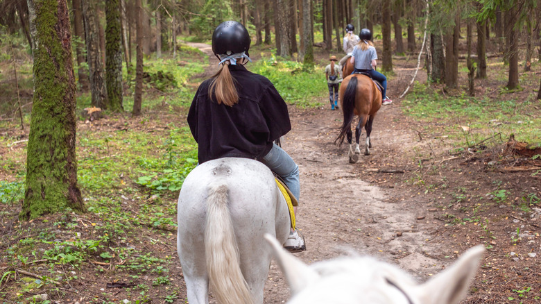 A family horseback riding in the woods