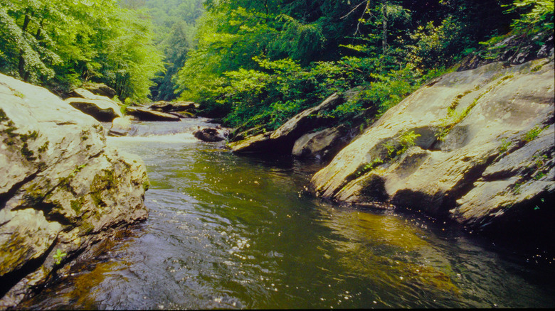 Cascading river in the Cohutta Wilderness of Georgia
