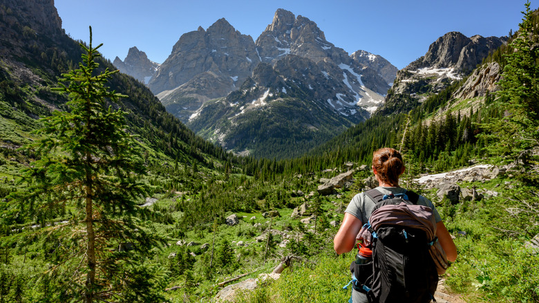 A hiker on the Cascade Canyon trail leading to Lake Solitude