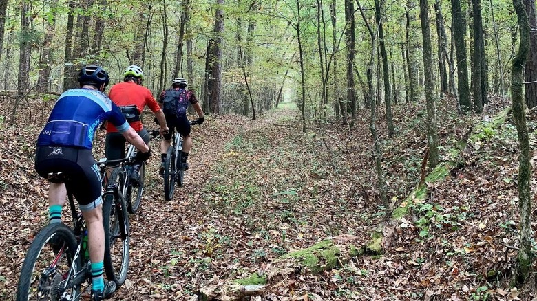 three people on bikes in woods
