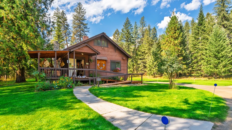 Cabin surrounded by forest and green grass
