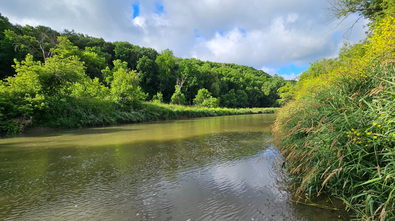 The Yellow River in Iowa surrounded by green leafy trees