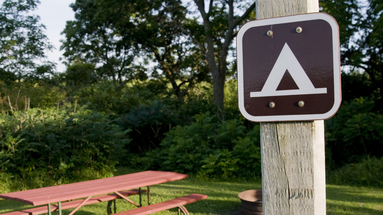 A campsite with a picnic table in the forest