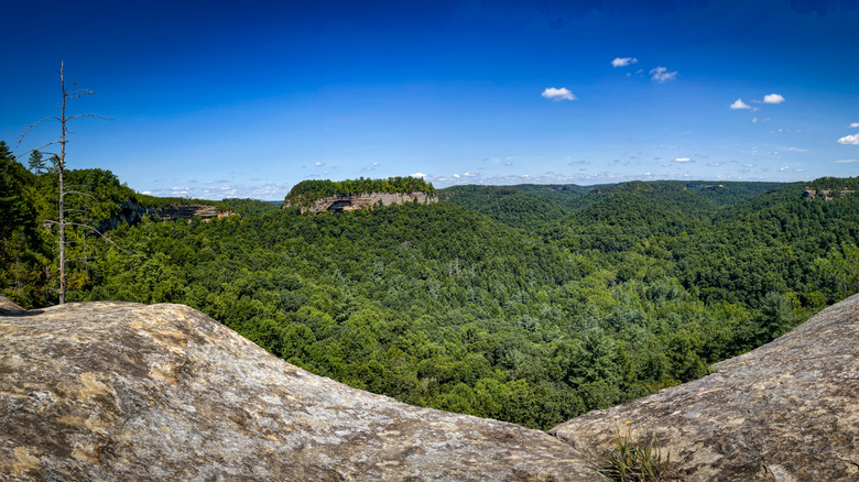 Chimney Rock and other rock formations in the Red River Gorge Geological Area, Daniel Boone National Forest, Kentucky