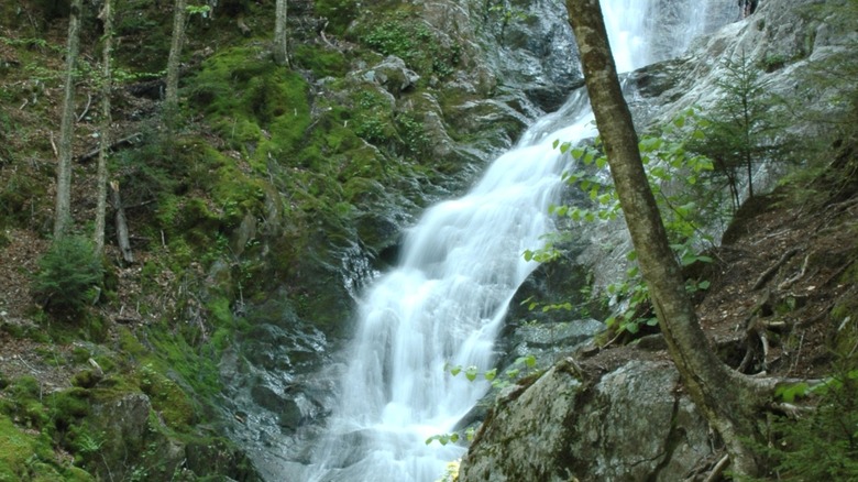 Water rushing down Tannery Falls in Savoy, MA