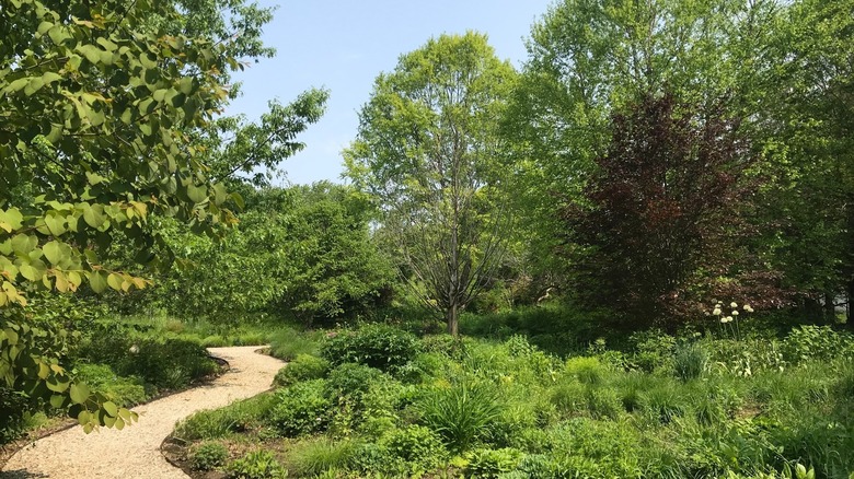 A path through Havenwoods State Forest