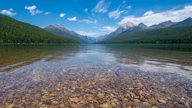 Colorful rocks visible at bottom of clear lake with mountains and forest