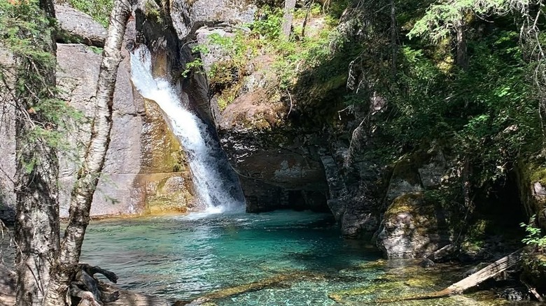 Bond Creek Trail falls