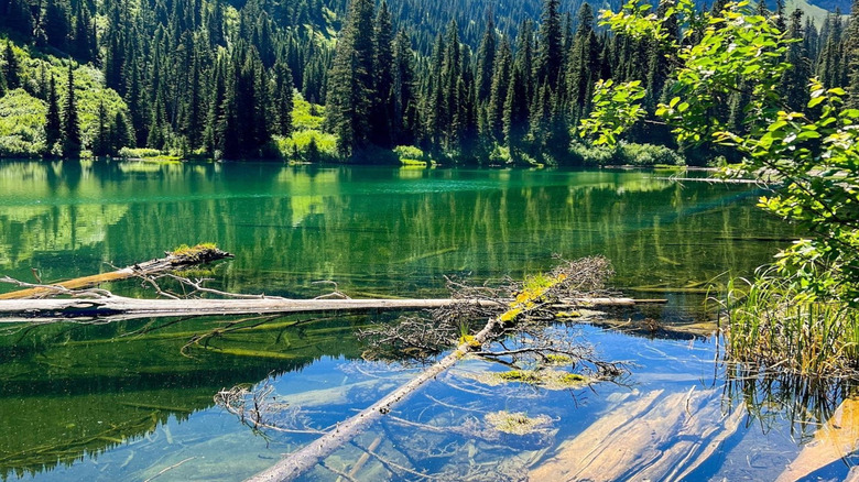 Bond Lake in Montana