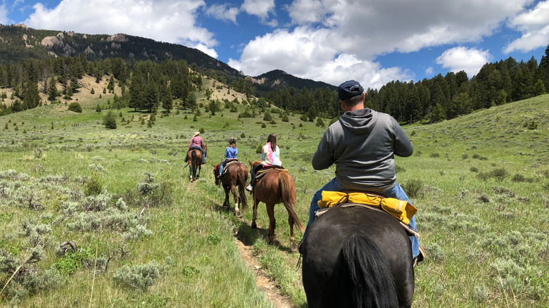 horseback riding in Montana