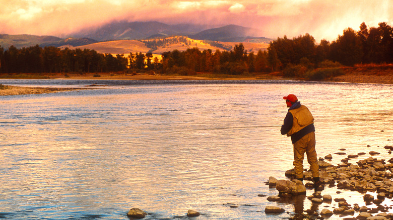 Angler surrounded by wilderness in Montana