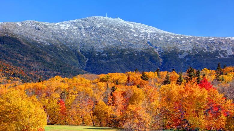 Snow-capped Mount Washington with fall foliage below