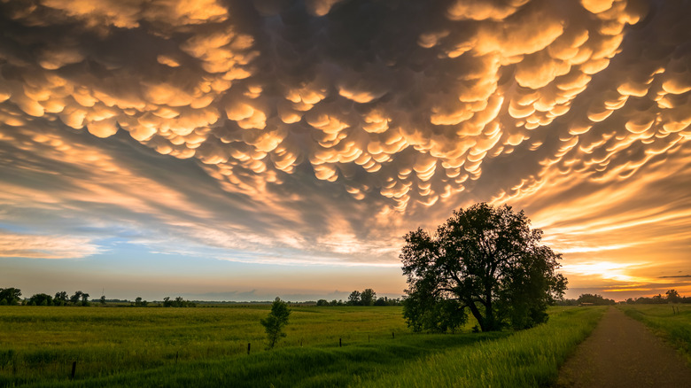 A sunset over a rural street