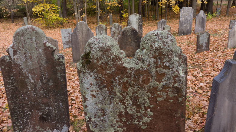 Moss covered headstones in an old cemetery