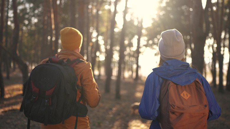 Two hikers walking away into the autumn woods