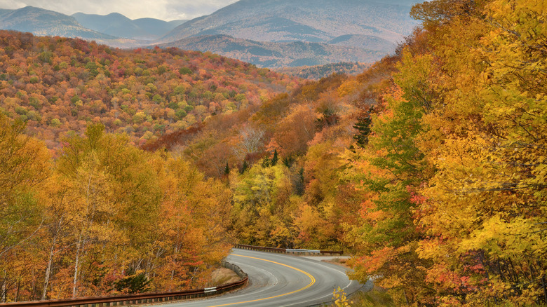 A road disappearing into the White Mountains of New Hampshire