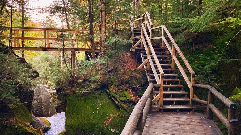 Wooden boardwalk and stairway trail over a flowing stream at Lost River Gorge & Boulder Caves in New Hampshire