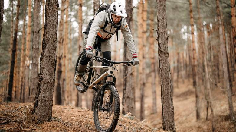Cyclist riding through a forest