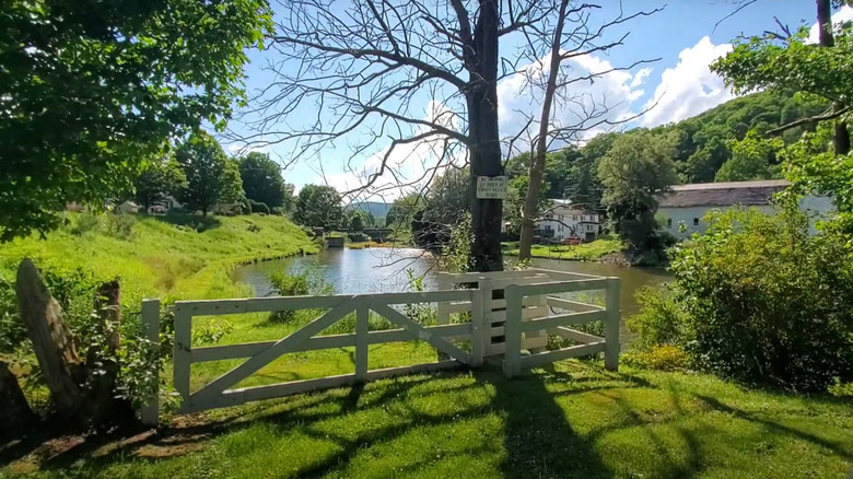 A pond surrounded by trees on a sunny day in Hobart, NY