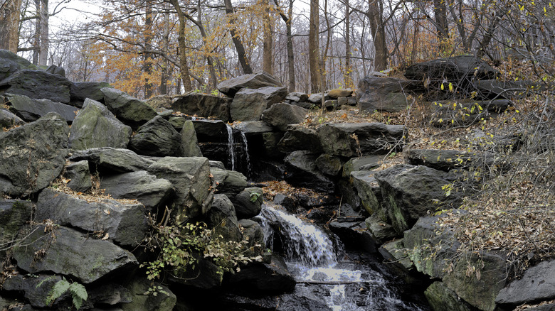 A waterfall flowing into the Ravine in Central Park, New York City in the fall