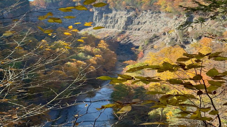 Gorge at Taughannock Falls State Park from the Rim Trails