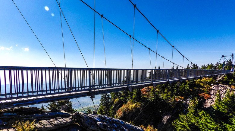 The bridge at Grandfather Mountain