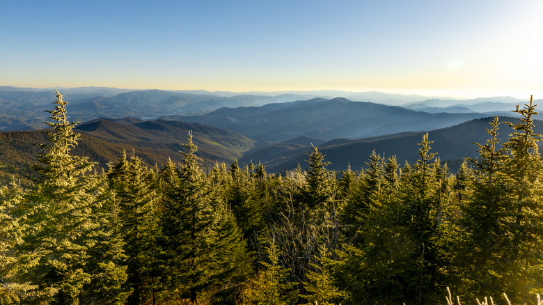 The view across the Great Smoky Mountains from the ridgeline on the North Carolina state line