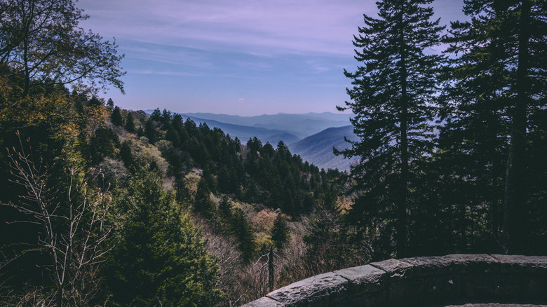 A view over the forests from a lookout on the Newfound Gap road