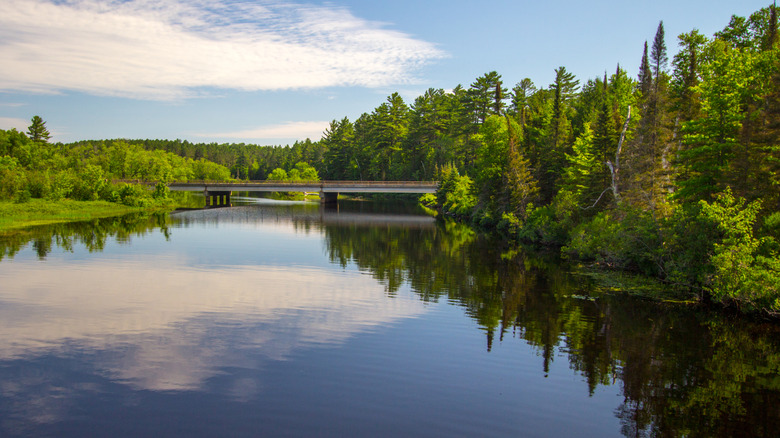 The Au Sable River in northern Michigan